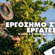Εργόσημο στους Εργάτες Γης, τι ισχύει & τι πρέπει να γνωρίζουν οι Αγρότες